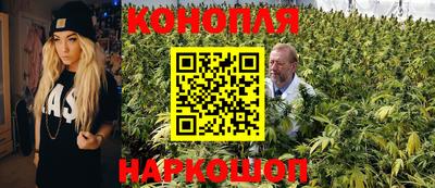 гидропоника Кулебаки