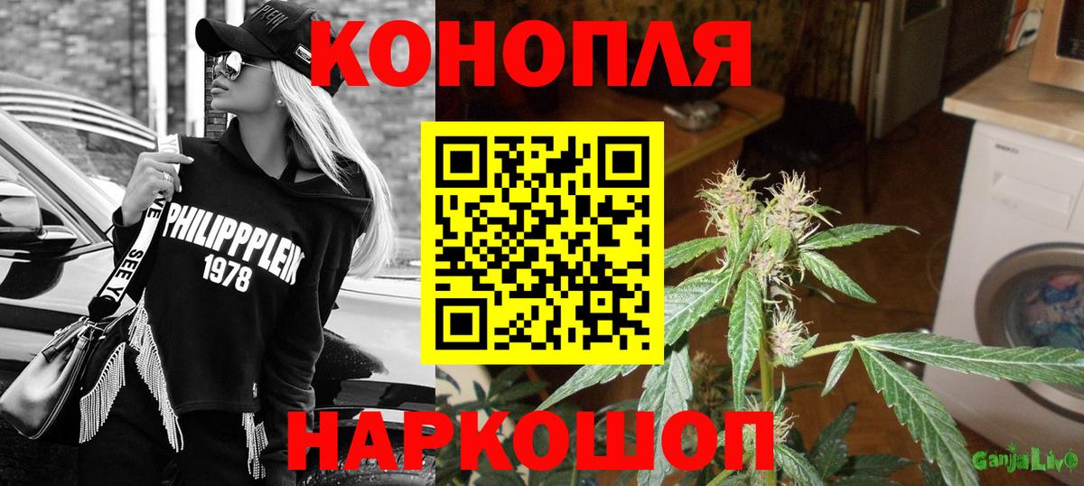 Канабис OG Kush Избербаш